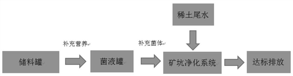 基于光合微生物利用废弃矿坑处理稀土生产尾水的方法