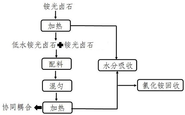 一种利用不同铵光卤石物料间的协同耦合作用对其进行脱水的方法