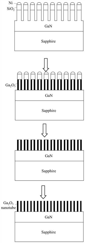 垂直Ga2O3纳米管有序阵列及其制备方法