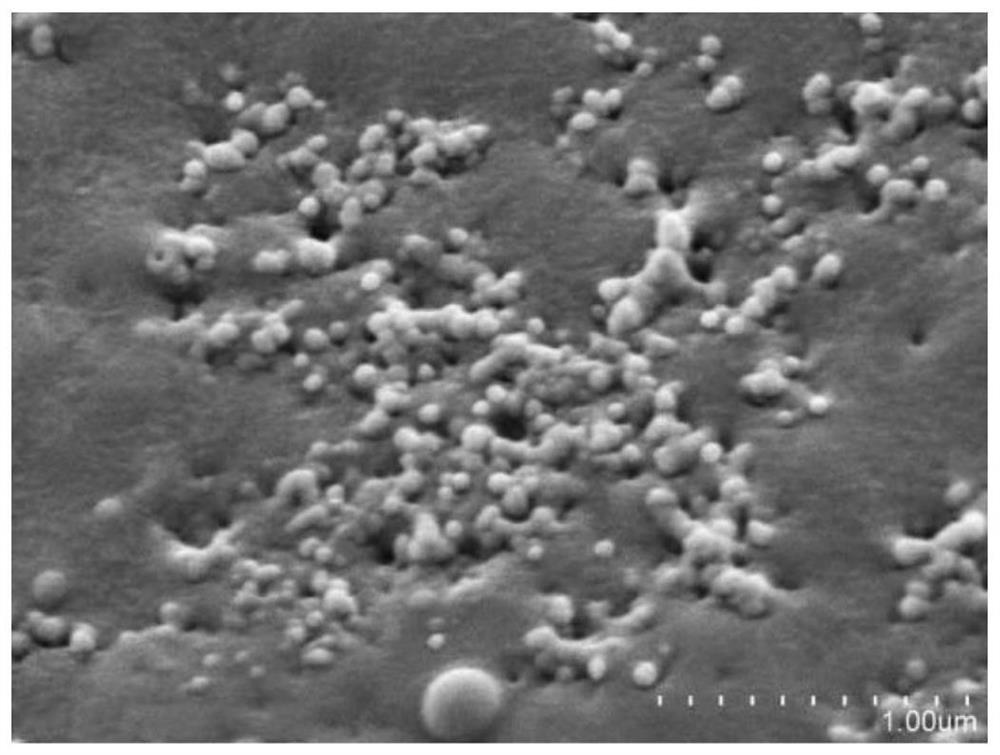 碱木质素微纳米球/纸基吸附材料及其制备方法和在处理染料废水中的应用