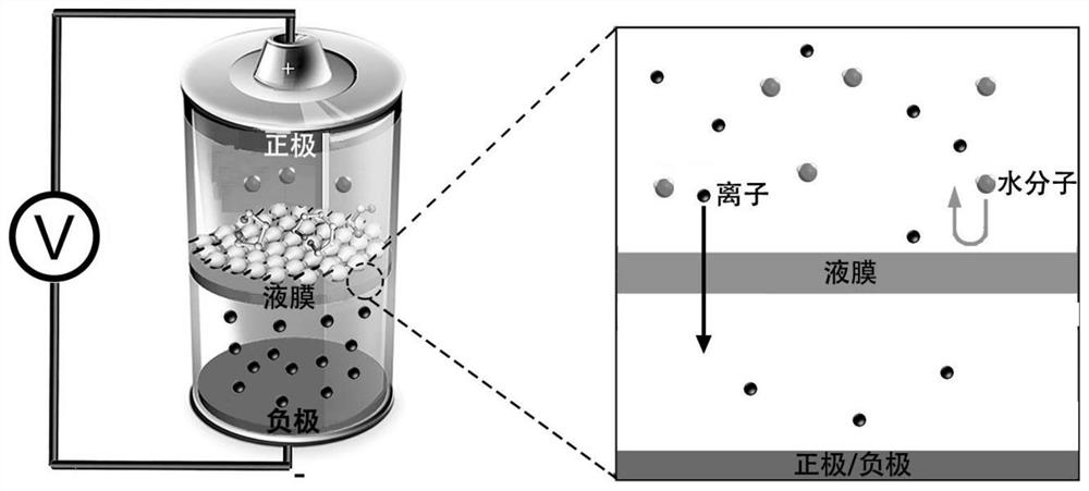 一种亲离子疏水分子的水系纳米孔道分离膜及其制备方法与应用