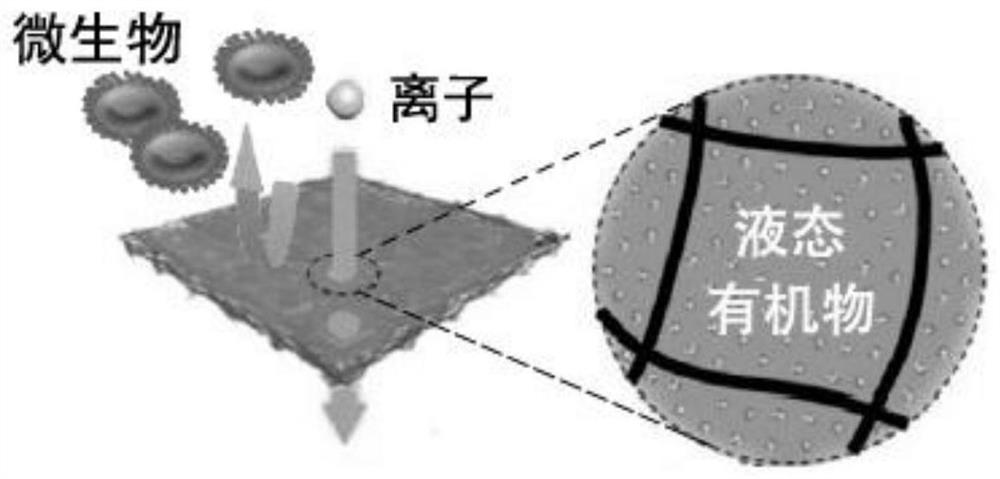 一种纳米孔道的海水防污液膜及其制备方法与应用