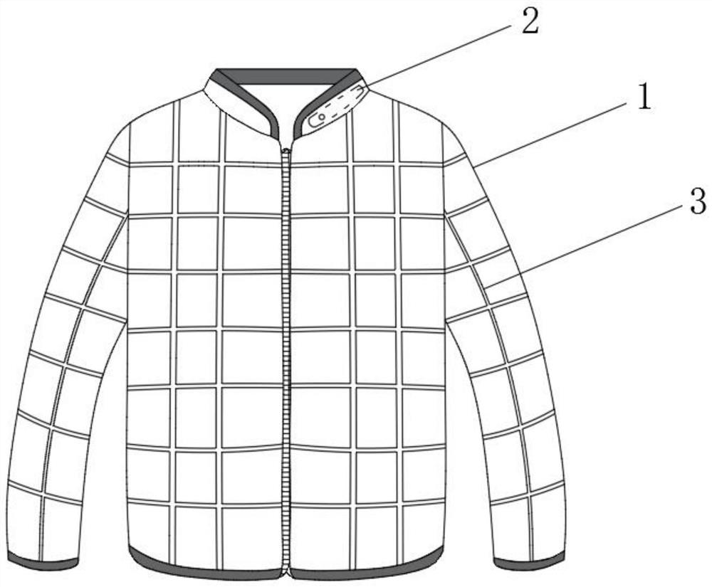 一种具有温度感应功能的可变色羽绒服