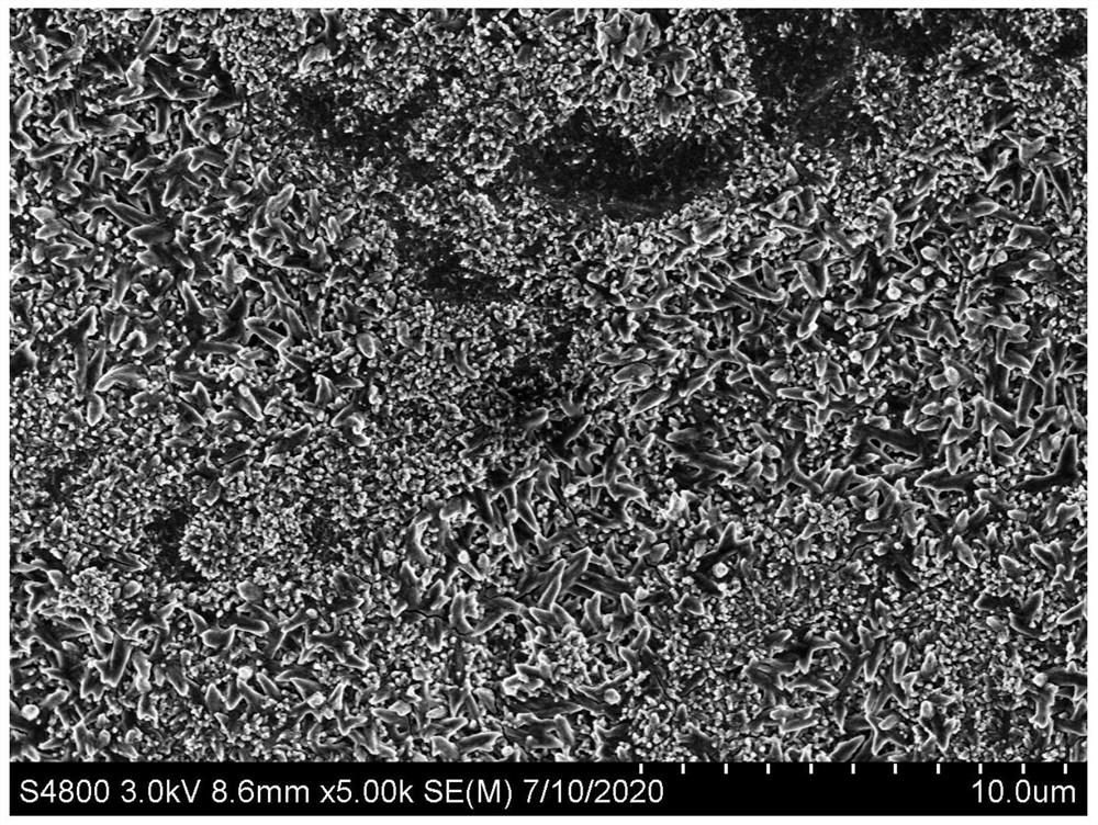 Ti3C2Tx-TiO2纳米管阵列自支撑薄膜电极材料及其制备方法和应用