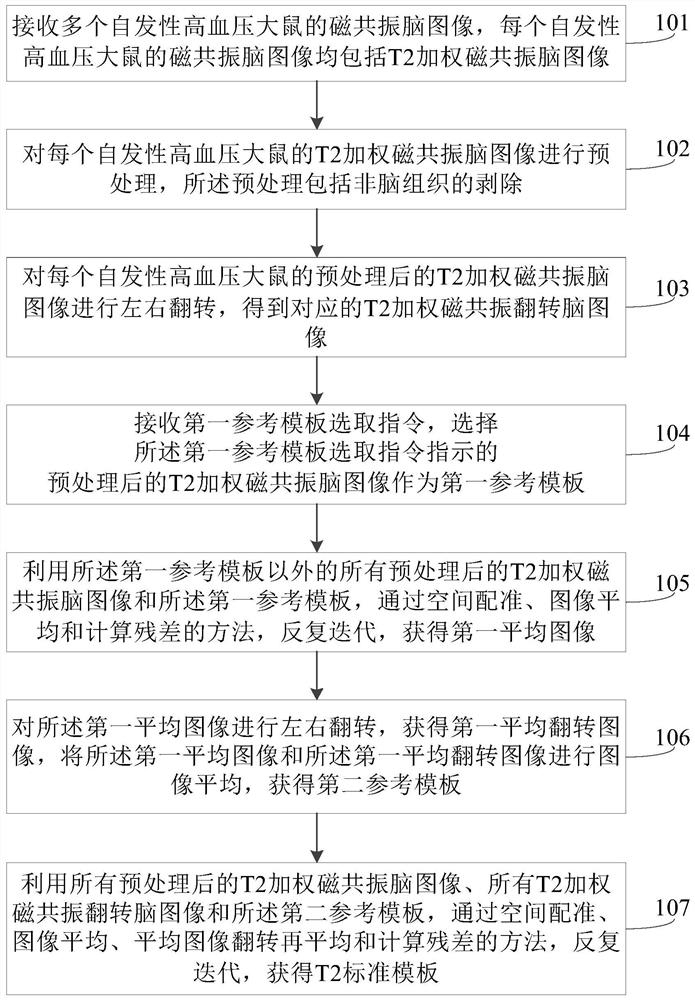 自发性高血压大鼠脑模板和地图集的构建方法及设备