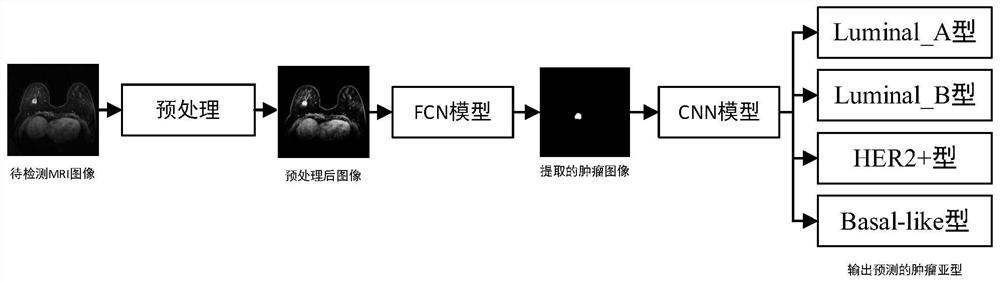 一种基于三维MRI图像的乳腺肿瘤分子亚型检测方法