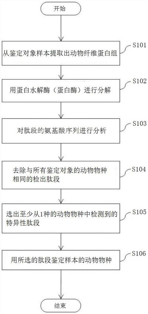 动物物种的鉴定方法