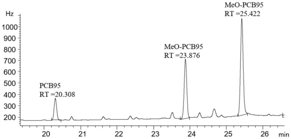 一种用于分析PCB95及其代谢物在鸡肝微粒体中代谢行为的方法