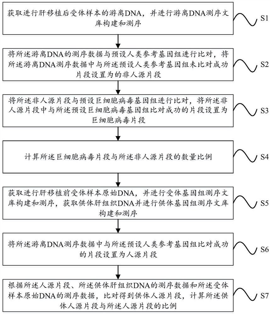 肝移植后巨细胞病毒的检测方法、应用及系统