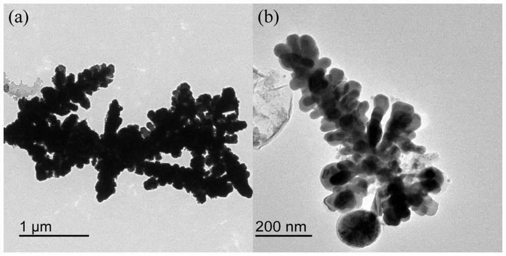 一种钴-银纳米微粒的制备方法及其应用