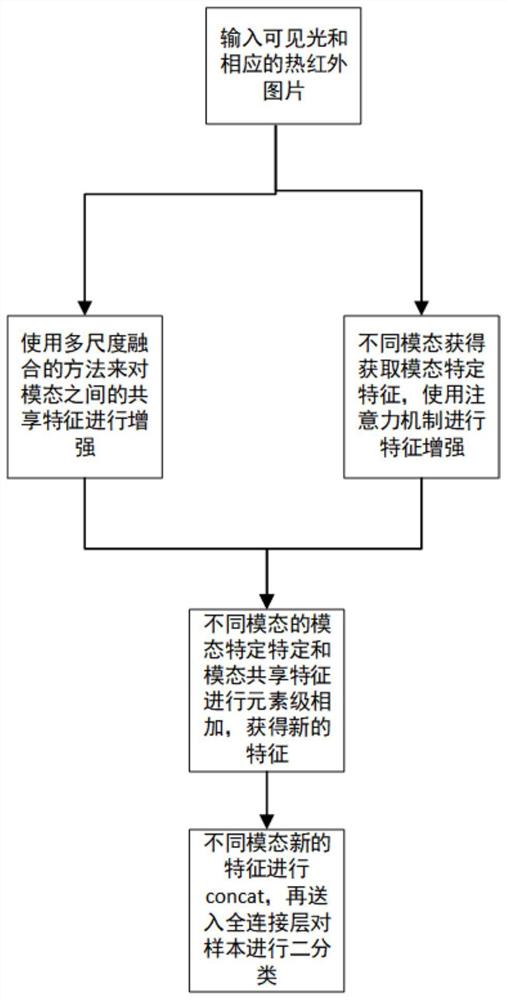 基于跨模态共享和特定表示形式的RGBT目标跟踪方法