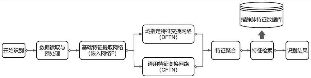 基于多源域迁移的指静脉识别方法及系统