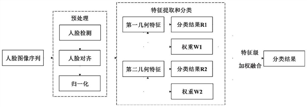 基于几何特征加权融合的动态人脸表情识别方法及系统