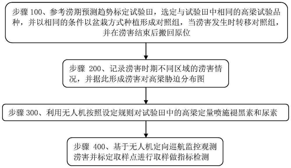 一种提高高粱耐涝性的试验测试方法