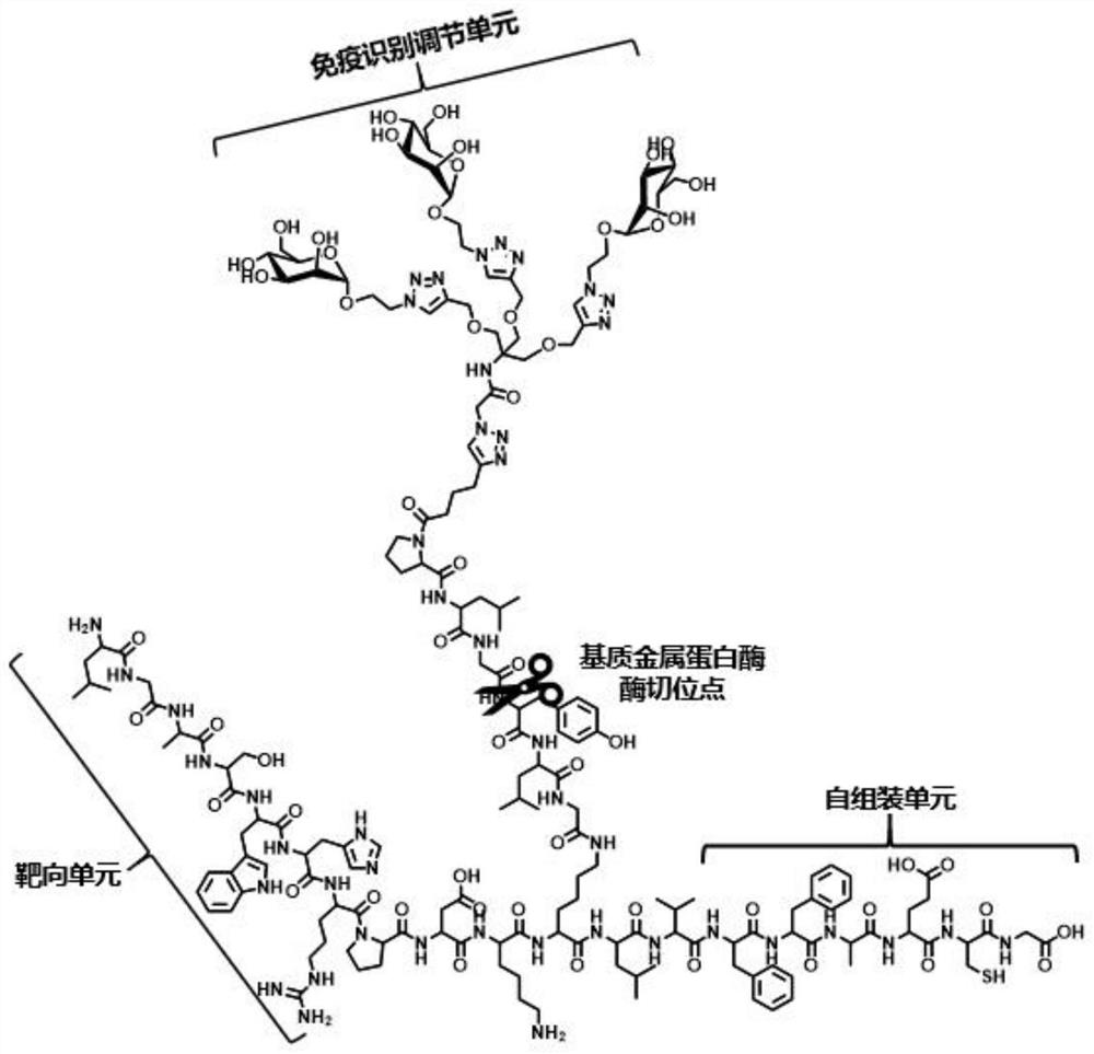 一种双特异性糖肽纳米分子及其制备方法和应用