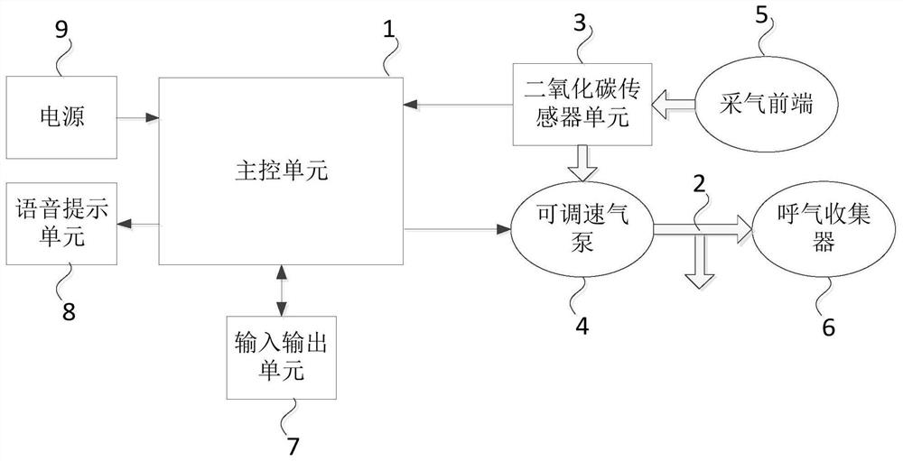 呼气采集系统以及方法