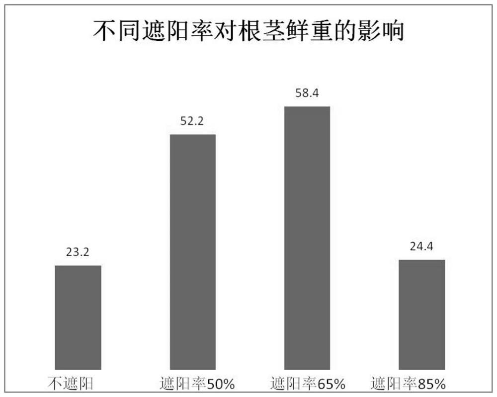 一种黄精大田仿野生高质高产栽培方法