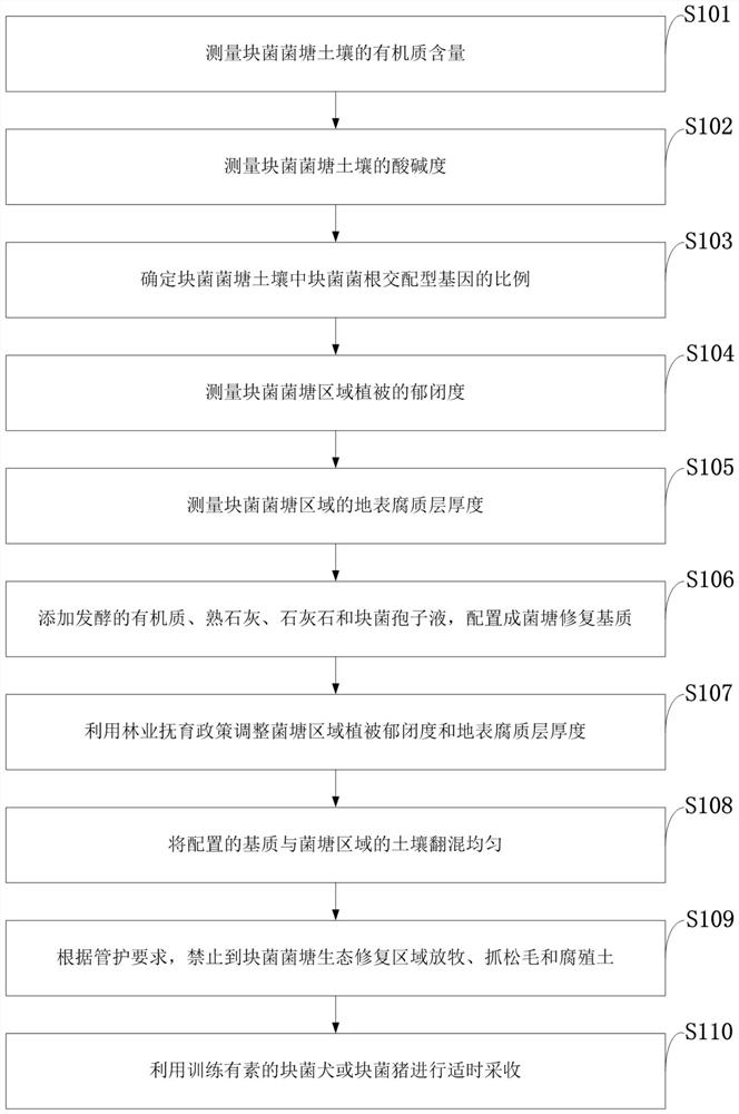 一种块菌菌塘生态修复及资源管护恢复方法