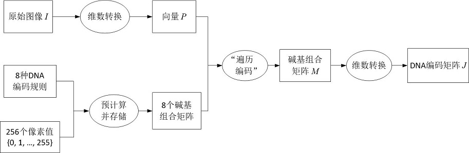 基于预计算的DNA快速编码方法