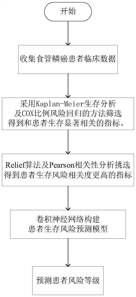 一种基于卷积神经网络的食管鳞癌患者生存风险预测方法