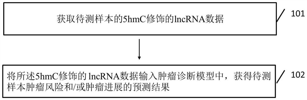 一种基于5hmC修饰的lncRNA的肿瘤诊断设备