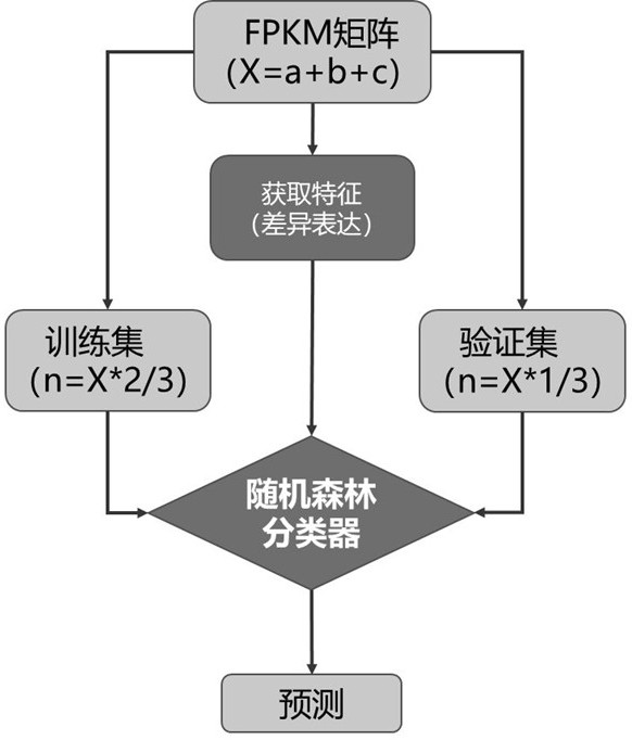 一种鼻咽癌分子分型的预测系统