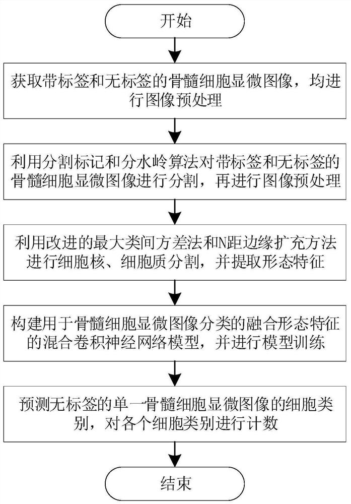 一种融合形态特征的显微图像骨髓细胞计数方法与系统