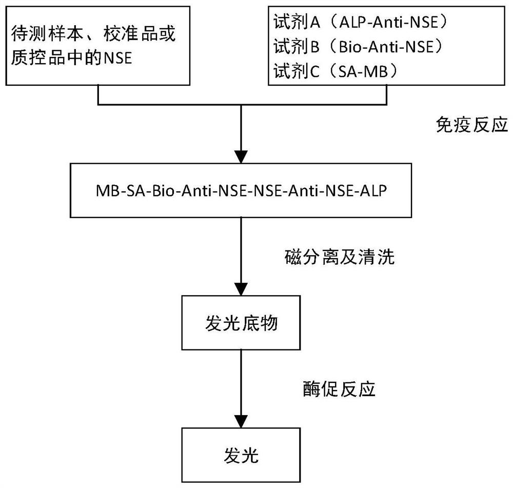 一种缓冲液及其在神经元特异性烯醇化酶检测试剂盒中的应用