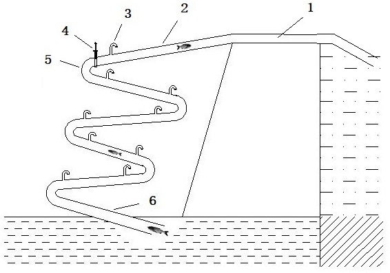 一种大坝洄游装置