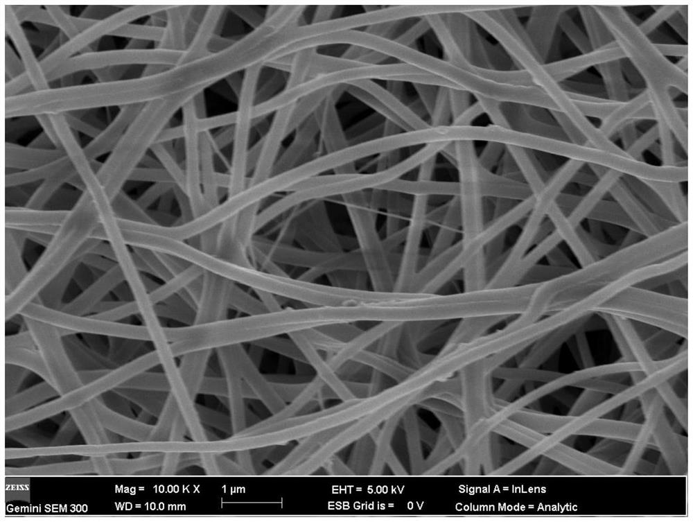 一种具有杀菌功能的导电性纳米纤维膜及制备方法与应用