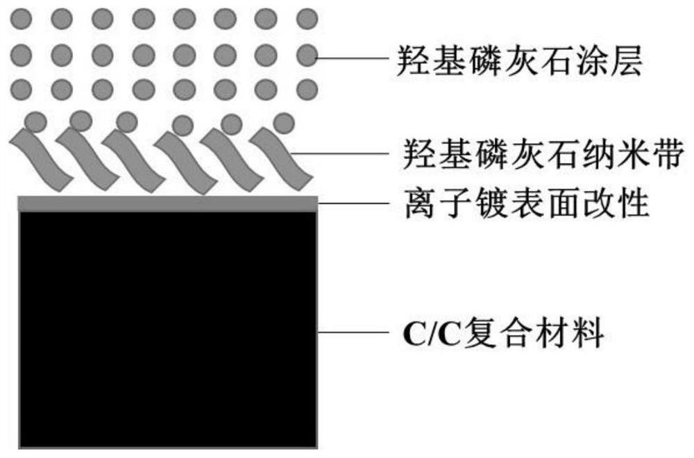 C/C复合材料表面的羟基磷灰石纳米带与羟基磷灰石涂层及一步共生长制备方法