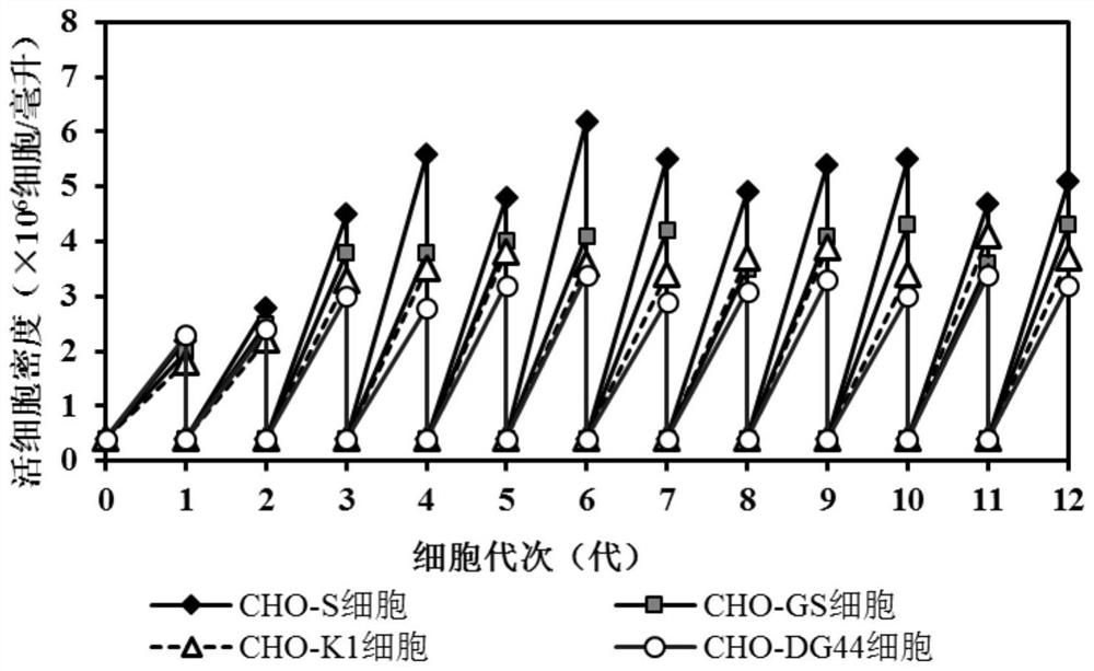 一种用于CHO细胞的培养基及其用途