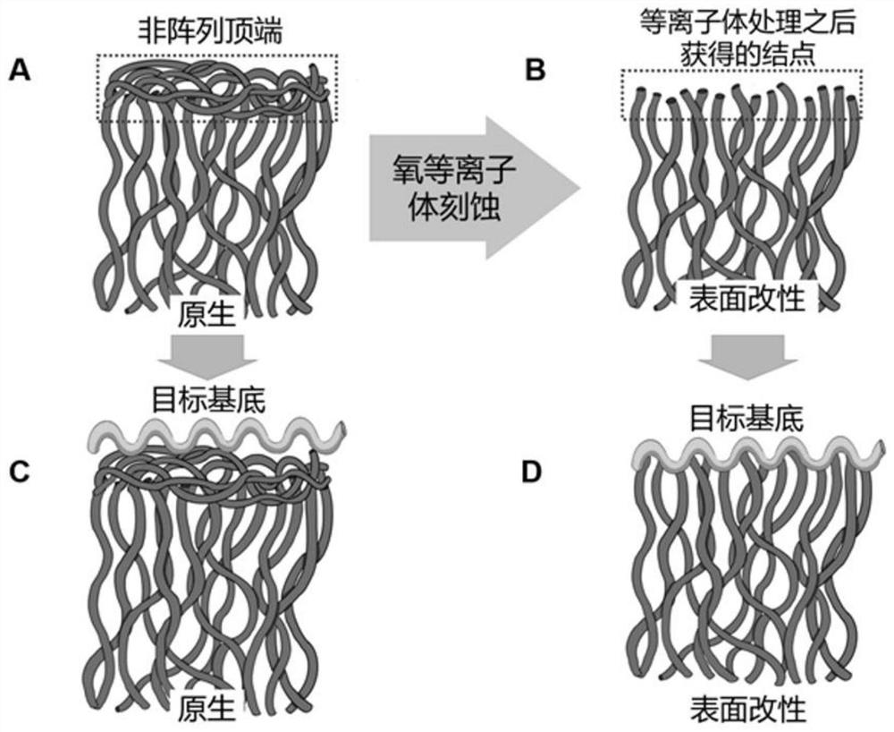 一种适用于水下粗糙基底的碳纳米管干胶及其制备方法