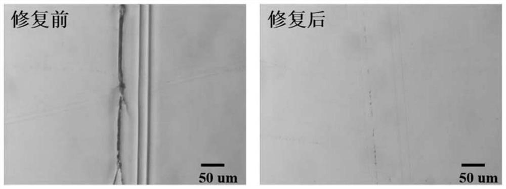 一种自修复抗划痕型聚氨酯涂料及其制备方法