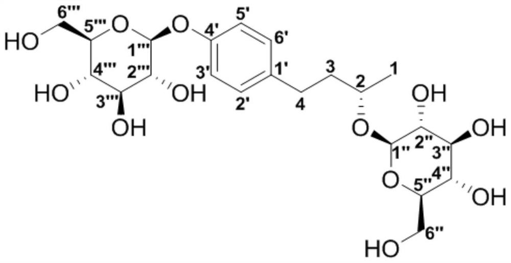 唐古特虎耳草中一种新的杜鹃素糖苷类自由基抑制剂及其分离制备工艺和应用