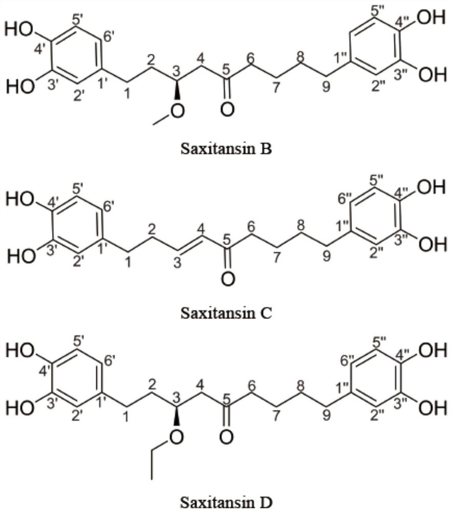 唐古特虎耳草中新的二芳基壬烷类Ⅴ，Ⅵ和Ⅶ自由基抑制剂及其分离制备工艺和应用