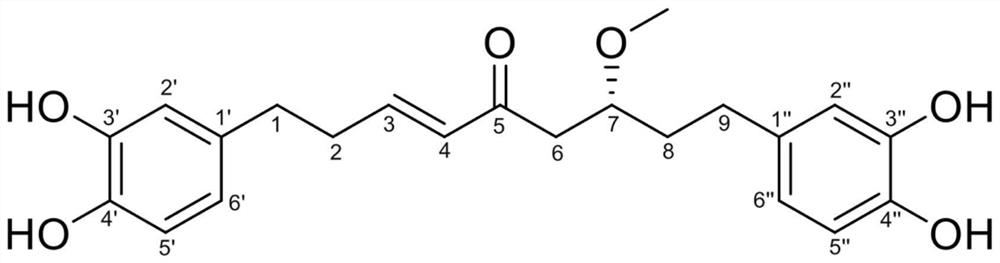 山地虎耳草中新的二芳基壬烷类Ⅰ自由基抑制剂及其分离制备工艺和应用