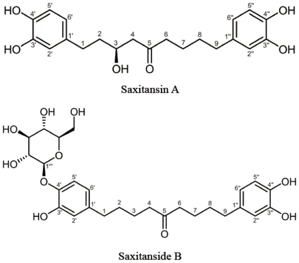唐古特虎耳草中新的二芳基壬烷类Ⅳ和Ⅲ自由基抑制剂及其分离制备工艺和应用