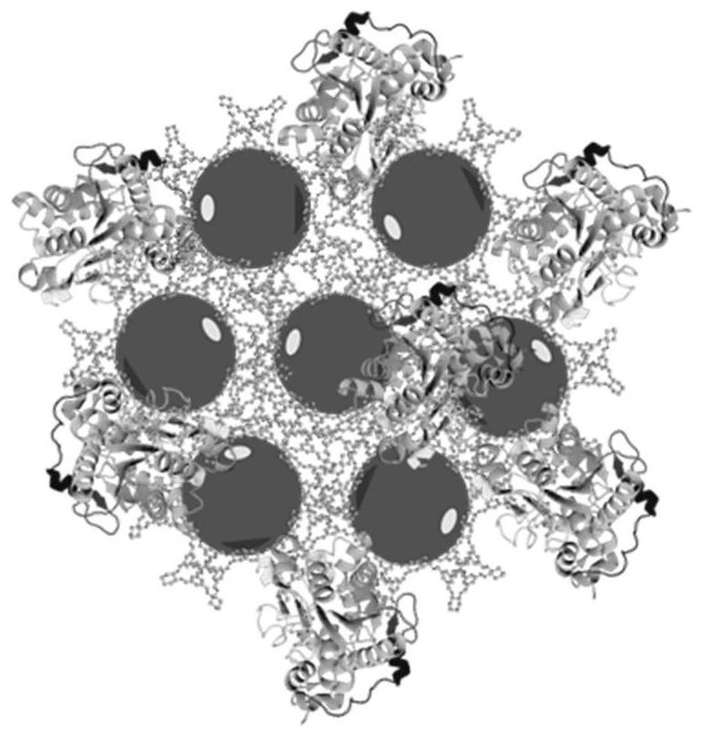 半均相金属酶集成纳米催化剂及其制备方法和应用