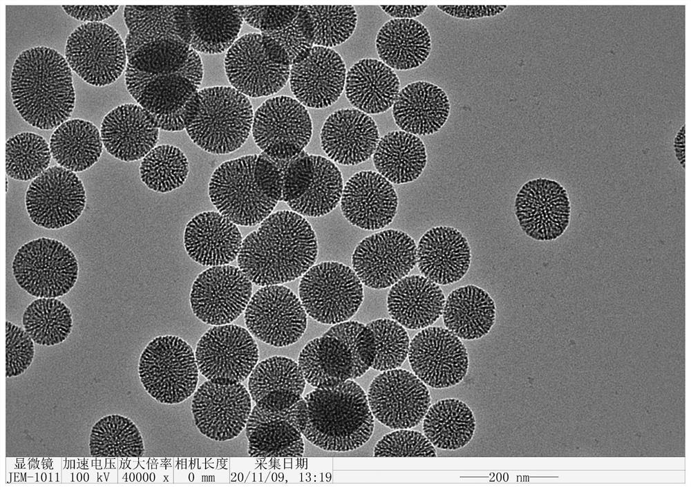 一种石墨相氮化碳修饰氧化硅多孔微球负载铑的多相催化剂及其制备方法与应用