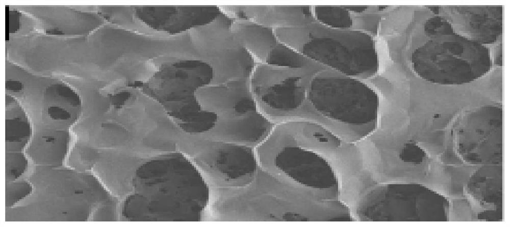 一种脱细胞基质支架的制备方法及通过该方法获得的脱细胞基质支架