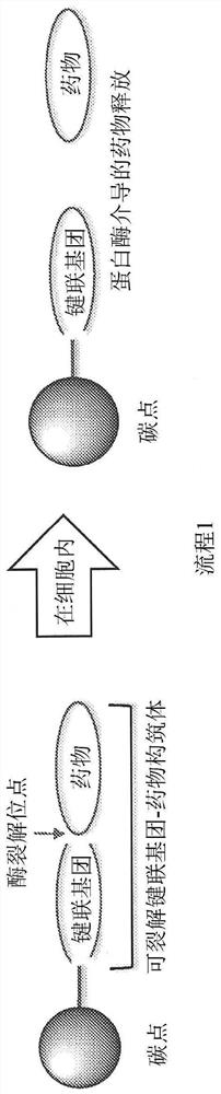 纳米粒子药物结合物