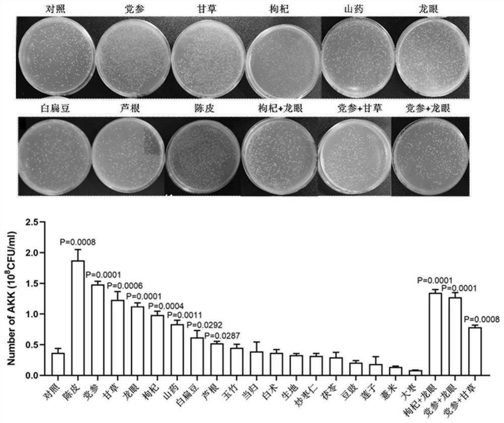 一种提高AKK菌数量的方法