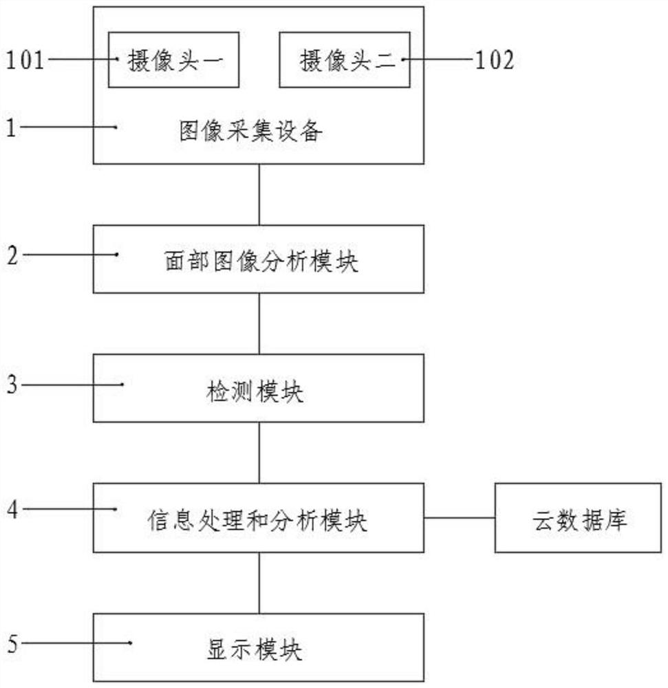 一种基于偏振光摄像头的中医诊断面相分析系统及方法