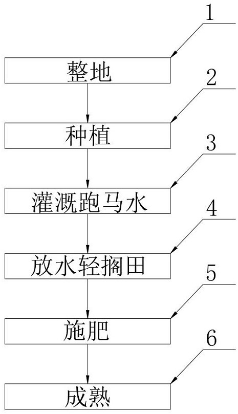 一种施肥量减少时提高水稻产量的方法