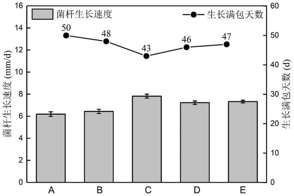 用于肉苁蓉种植的复合多孔基底及其制备方法与接种方法