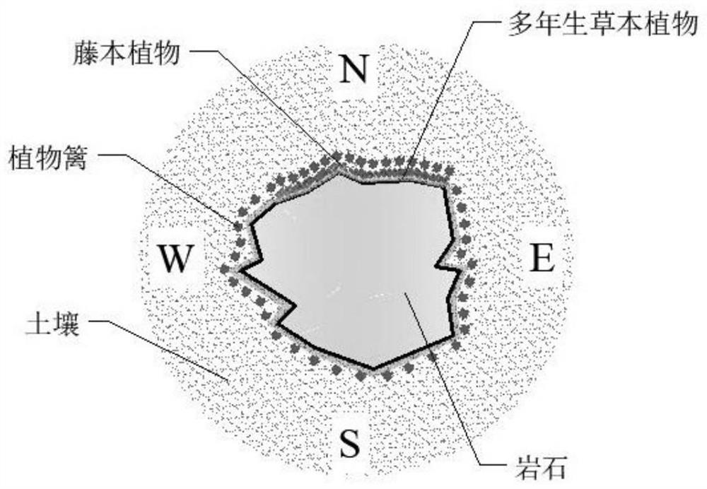 一种喀斯特地区岩土接触面土壤漏失阻控方法