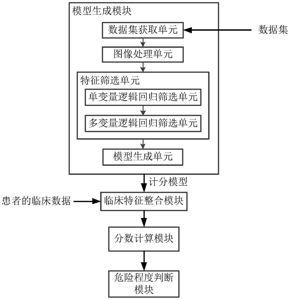 一种考虑延迟强化核磁影像的心肌梗死危险程度评估系统