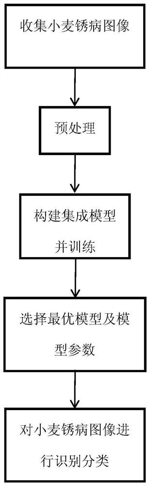 一种基于集成学习的小麦锈病分类方法