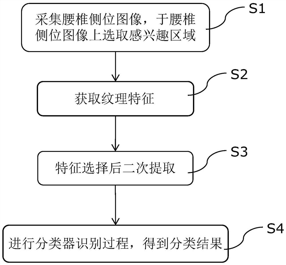 一种腰椎侧位图像快速分类方法